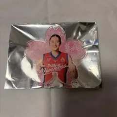 GW価格! NECレッドロケッツ　佐藤淑乃グッズセット 日本代表 NECレッドロケッツ 佐藤淑乃グッズセット 日本代表 - メルカリ
