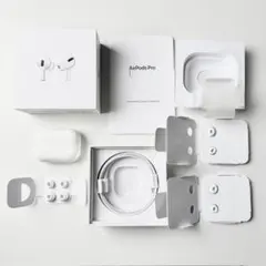 Apple AirPods Pro 第1世代 【付属品完備】