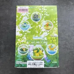 【外箱未開封】リーメント　ポケモン　テラリウムコレクション9