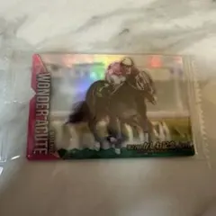 Thoroughbred Horse Collectionワンダーアキュート