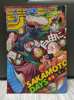 ふ*ゆ様 週刊少年ジャンプ 2022年17号 ワンピース ギア5ルフィ ニカ 初 