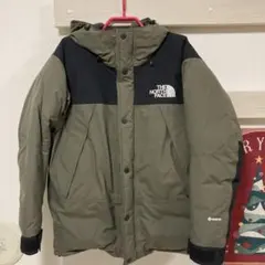 THE NORTH FACE /マウンテン ダウンジャケット GORE-TEX