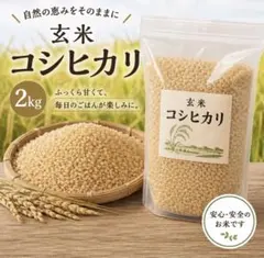 即日発送　即購入可　コシヒカリ米 2kg 岡山県産 令和7年産