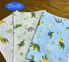 ★人気商品　恐竜① ３枚★25×35 ランチマット　給食ナフキン　男の子