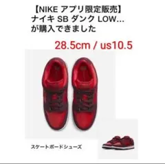 Nike SB Dunk Low Pro Cherry 28.5cm