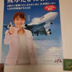 2026年最新】JAL矢田亜希子の人気アイテム - メルカリ