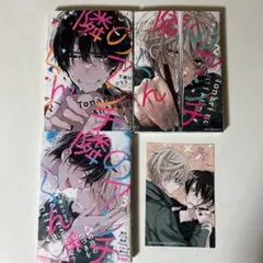 Item thumbnail for item c886e8f6-a8a8-41a3-bdb8-eb8161eaa2d7