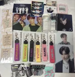 テミン ②)shinee オフィシャル公式ペンライト封入ランダムトレカ未