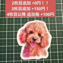 popeye様 リクエスト 3点 まとめ商品