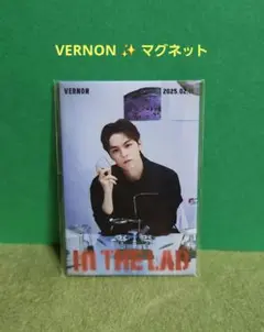 レア♥SEVENTEEN♥バーノン・VERNON ♥Birthday