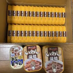 キョクヨー いわし蒲焼 さんま蒲焼 49缶詰 まとめ売りのサムネイル