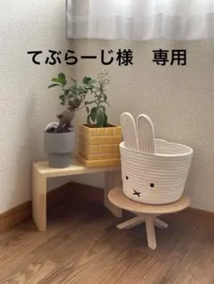 てぶらーじ様 専用