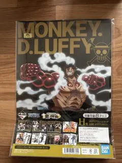 アニメ　ワンピース カイドウ　ファイル