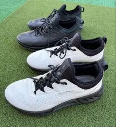 ECCO Golf Biom C4 Men エコー ゴルフ シューズC4