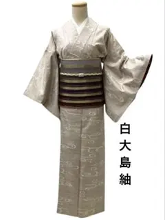 ❪8019❫ ❦ 白大島紬 (正絹) ❦