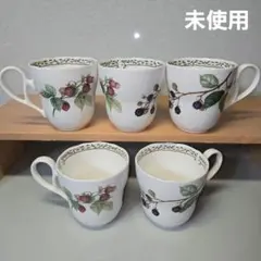 ノリタケ　ロイヤルオーチャード　マグカップ　5客セット(プリマチャイナ　廃盤品)