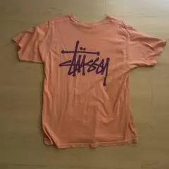 Item thumbnail for item 19766cf1-4092-422d-9ce6-fc059f110d6a