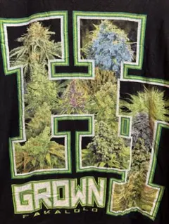 HI GROWN パカロロ Tシャツ XL相当 チーチョン カンナビス　ガンジャのサムネイル