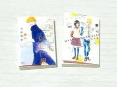りぼん コミックス 豆ガシャ本 ハニーレモンソーダ