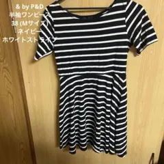 Item thumbnail for item c2754313-258e-4908-8df2-cd39825e1257