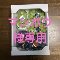 ブドウセット(家庭用)