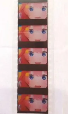 五等分の花嫁　生コマフィルム　第6弾　入場特典　五月