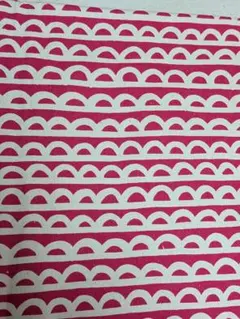 ●綿キャンパス★KOKKAピンク