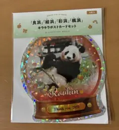 アドベンチャーワールド　キラキラポストカードセット（良浜・結浜・彩浜・楓浜）