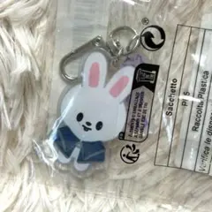 Stray Kids Lee Know (リノ) アクスタ leebit