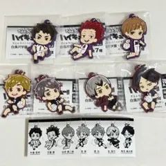 でふぉラバ! ハイキュー!! 白鳥沢学園・稲荷崎キーホルダー コンプリートセット