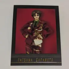 銀魂 ぱしゃこれPREMIUM カード 坂本2