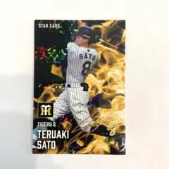 Item thumbnail for item 698f37a0-62de-4d6f-acd8-547af8446e2e