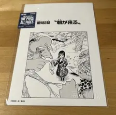 ONE PIECE ALL PAGES ロビン 3枚＋ペーパー - メルカリ