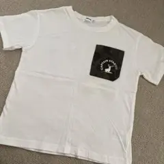 Item thumbnail for item 45ef8ad3-fb4d-4442-988e-e18286dfd097