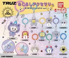 TREASURE TRUZ めじるしアクセサリー