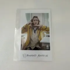 【匿名配送・24時間以内発送】43 BUDDiiS MORRIE ミニフォト 左