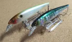 ジャッカル ジョッキー