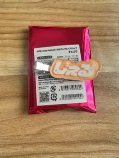 STPR Family Festival ジェル　ヘアクリップ　すとふぇす