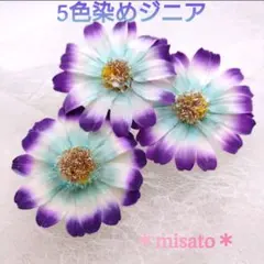 Item thumbnail for item fb921d02-9f47-4b51-82b3-4ebb29740bc8