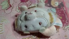 【新品】サンリオキャラクターズ シークレットブローチ（りすもふもふ）こぎみゅん