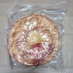 2026 KFCビスケット型お昼寝枕　福袋　ケンタッキー