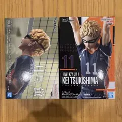 【新品未開封】ハイキュー!! 月島 蛍 フィギュア ２種セット