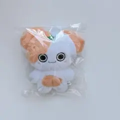 &team EJ ウィジュ 10cm ぬいぐるみ 新品 マスター - メルカリ