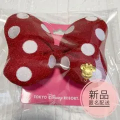 ディズニー　ヘアゴム　ヘアポニー　ミニーの日　パルパルーザ　リボン　大サイズ