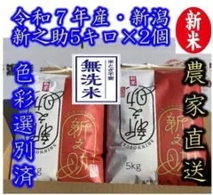 長期保存 真空パック無洗米・令和7年産 新潟 新之助 5キロ2個（10kg