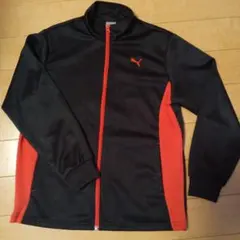 プーマ　ジャージ上着のみ　150