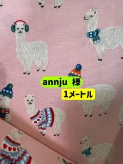 annju様 リクエスト 2点 まとめ商品