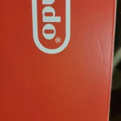 Nintendo Switch Lite ターコイズ 本体