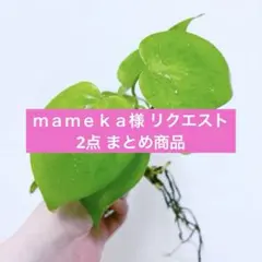 ｍａｍｅｋａ様 リクエスト 2点 まとめ商品