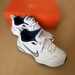 NIKE エアモナークⅣのサムネイル
